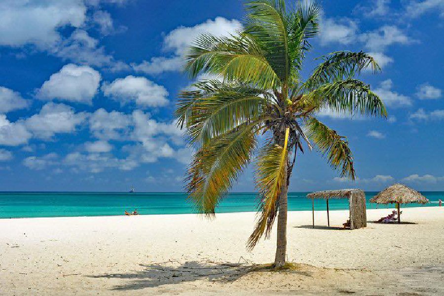 Palmieri pe plaja Varadero, Cuba